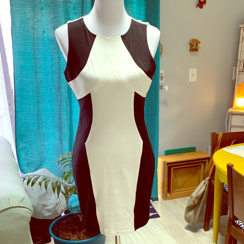 Black + White Open Back Cocktail Dress